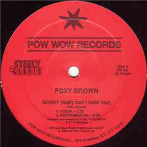 Foxy Brown  - Sorry (Baby Can I Hold You)