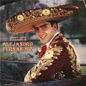 Alejandro Fernandez - Grandes Exitos A La Manera De Alejandro Fernandez