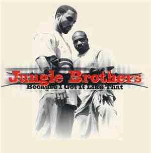 Jungle Brothers - Because I Got It Like That