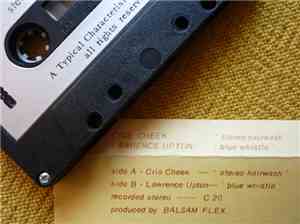 Cris Cheek, Lawrence Upton - Stereo Hairwash/ Blue Whistle