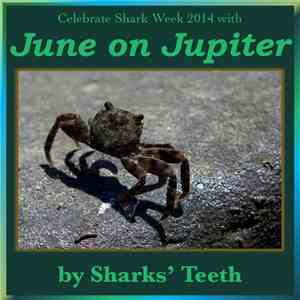 Sharks' Teeth - June On Jupiter