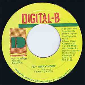 Terry Ganzie - Fly Away Home