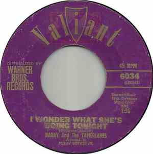 Barry And The Tamerlanes - I Wonder What She's Doing Tonight