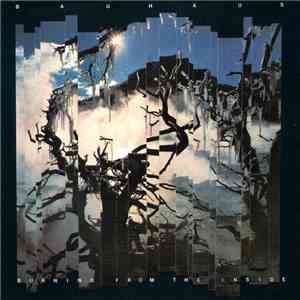 Bauhaus - Burning From The Inside