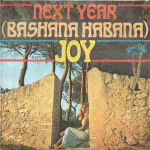 Joy  - Next Year / Two Different Things