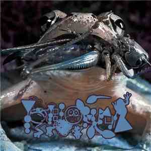 Phyllomedusa - By The Diamond Of Posterior