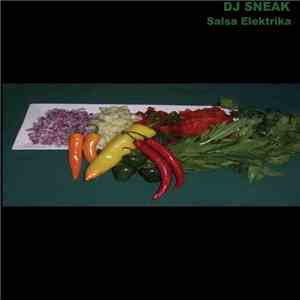 DJ Sneak - Salsa Elektrika