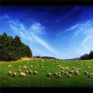 Jairus  - Sheep (Pink Floyd Cover)