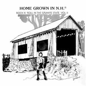 Various - Home Grown In N.H. - Rock 'N Roll In The Granite State Vol. II