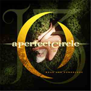 A Perfect Circle - Weak And Powerless