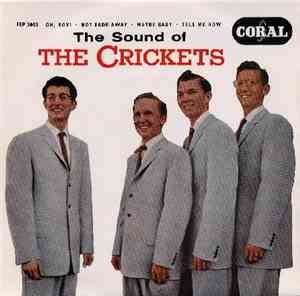 The Crickets  - The Sound Of The Crickets