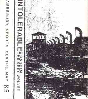 Con-Dom / The Grey Wolves - Intolerable