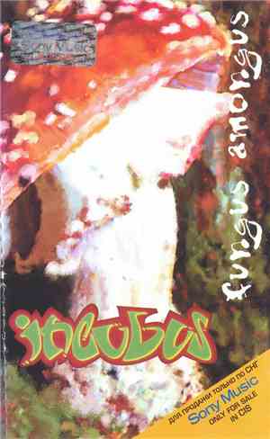 Incubus  - Fungus Amongus