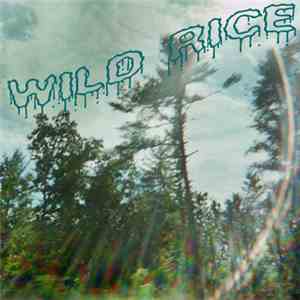 Wild Rice - High Rocks