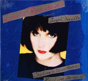 Linda Ronstadt Featuring Aaron Neville - Cry Like A Rainstorm - Howl Like T ...