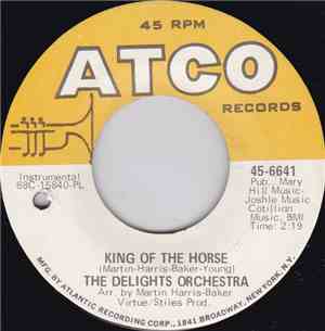 The Delights Orchestra - King Of The Horse / Do Your Thing
