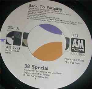 Thirty Eight Special - Back To Paradise