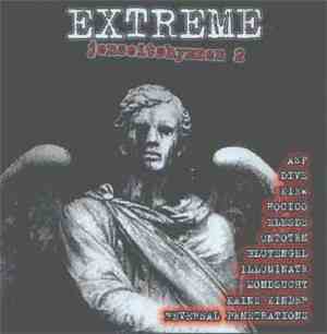 Various - Extreme Jenseitshymnen 2