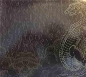 Blind Cave Salamander | Pietro Riparbelli / K11 - The Nietzsche Fabrik Sess ...
