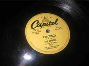 Ray Anthony & His Orchestra - Wild Horses / You're A Heartbreaker