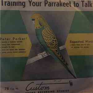 No Artist - Training Your Parrakeet To Talk