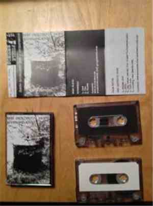 She Destroys Hope / Wormhead - Split