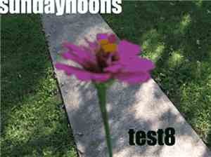 test8 - Sundaynoons