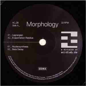 Morphology - Nucleosynthesis