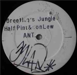 Half Pint  & Don / Lew - Greeting's Jungle