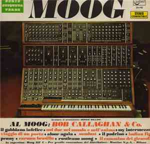 Bob Callaghan - Moog - Al Moog: Bob Callaghan & Co