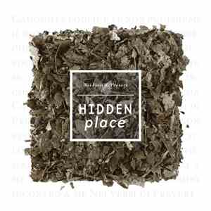 Hidden Place - Nei Versi Di Prévert