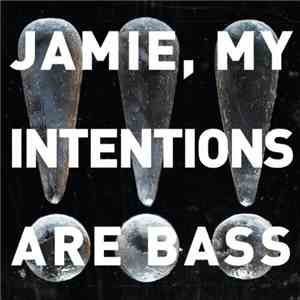 !!! - Jamie, My Intentions Are Bass