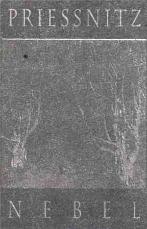Priessnitz - Nebel