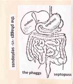 The Phaggs / Septopuss - Endless Spaghetti