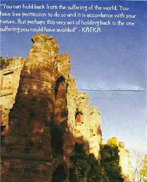 Adventures In Twizel - 