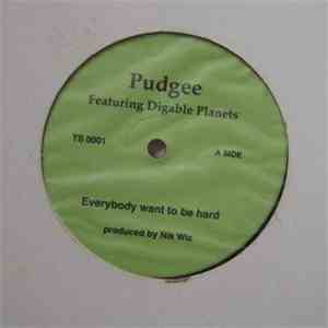 Pudgee - Everybody Want To Be Hard / Inner City Blues