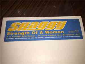 Shaggy - Strength Of A Woman