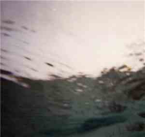 Celer - Ecco