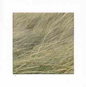 E42. A8 - Lande