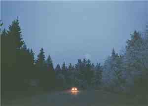 Sleep Gardens - A Stop On The Side Of The Road