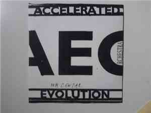 Accelerated Evolution Orchestra - Live An 