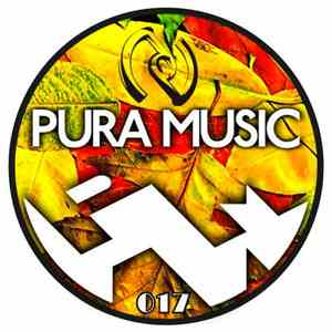 Various - Nülogic Meets Pura Music