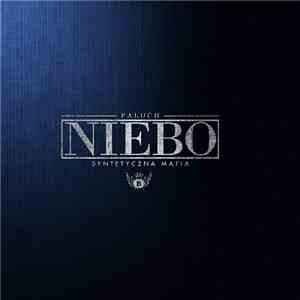 Paluch  - Niebo (Exclusive Instrumental Edition)