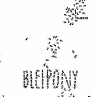 Amtrak  - Bleipony