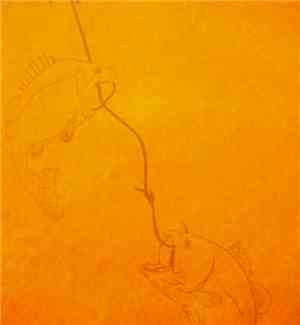 Circle Cercle - Ants