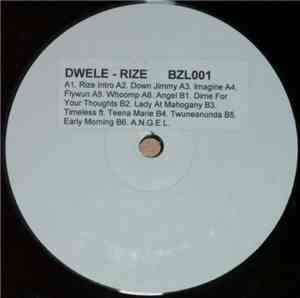 Dwele - Rize