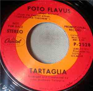 Tartaglia - Poto Flavus