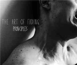 The Art Of Fading - Principles