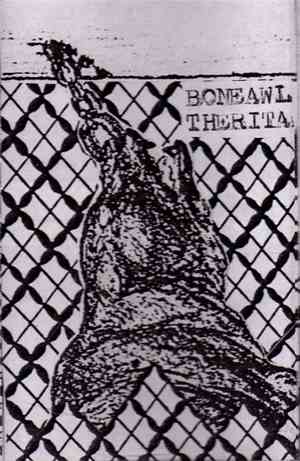 Bone Awl / The Rita - Bone Awl / The Rita