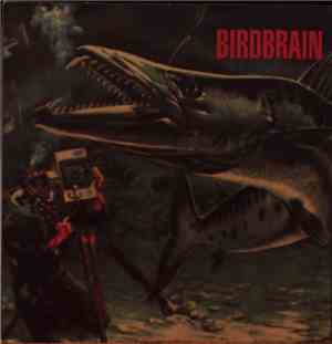 Birdbrain - Glue / Jet